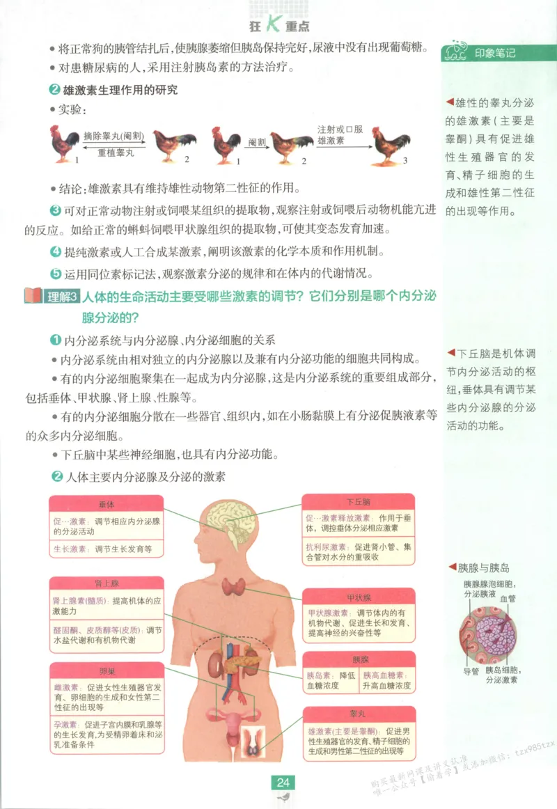 狂K重点_生物_2026版高中必刷题生物人教版_2026版高中必刷题生物选修1RJ(1)