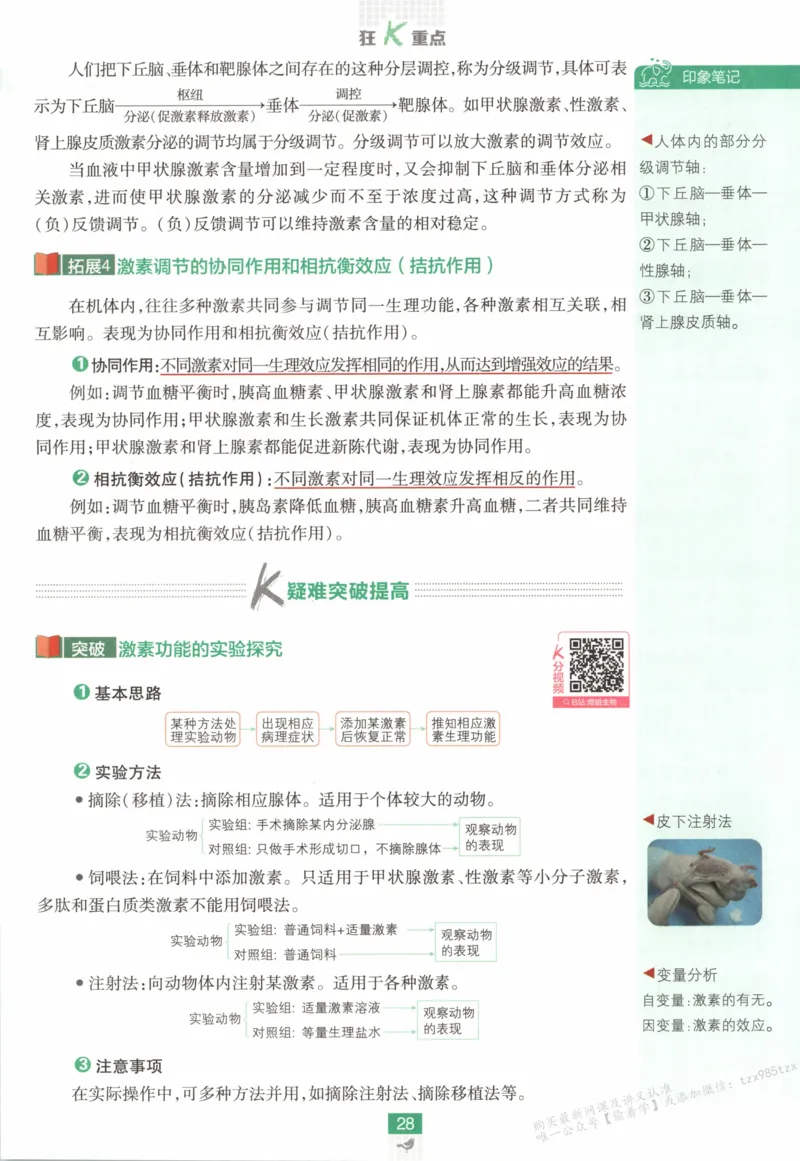 狂K重点_生物_2026版高中必刷题生物人教版_2026版高中必刷题生物选修1RJ(1)