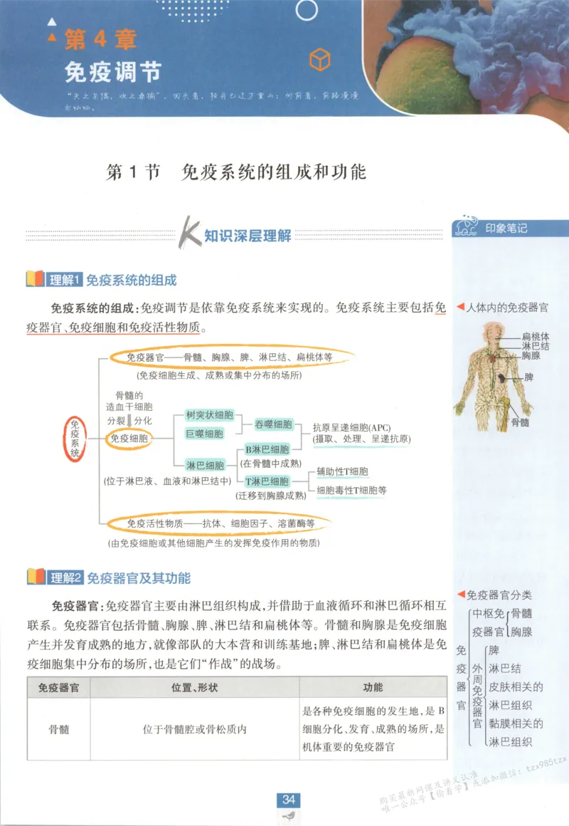 狂K重点_生物_2026版高中必刷题生物人教版_2026版高中必刷题生物选修1RJ(1)