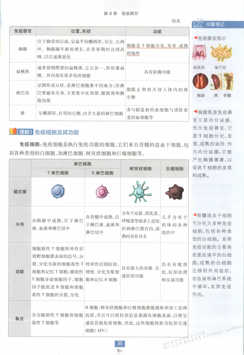 狂K重点_生物_2026版高中必刷题生物人教版_2026版高中必刷题生物选修1RJ(1)
