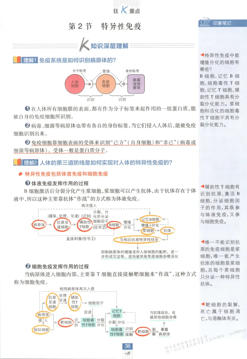 狂K重点_生物_2026版高中必刷题生物人教版_2026版高中必刷题生物选修1RJ(1)