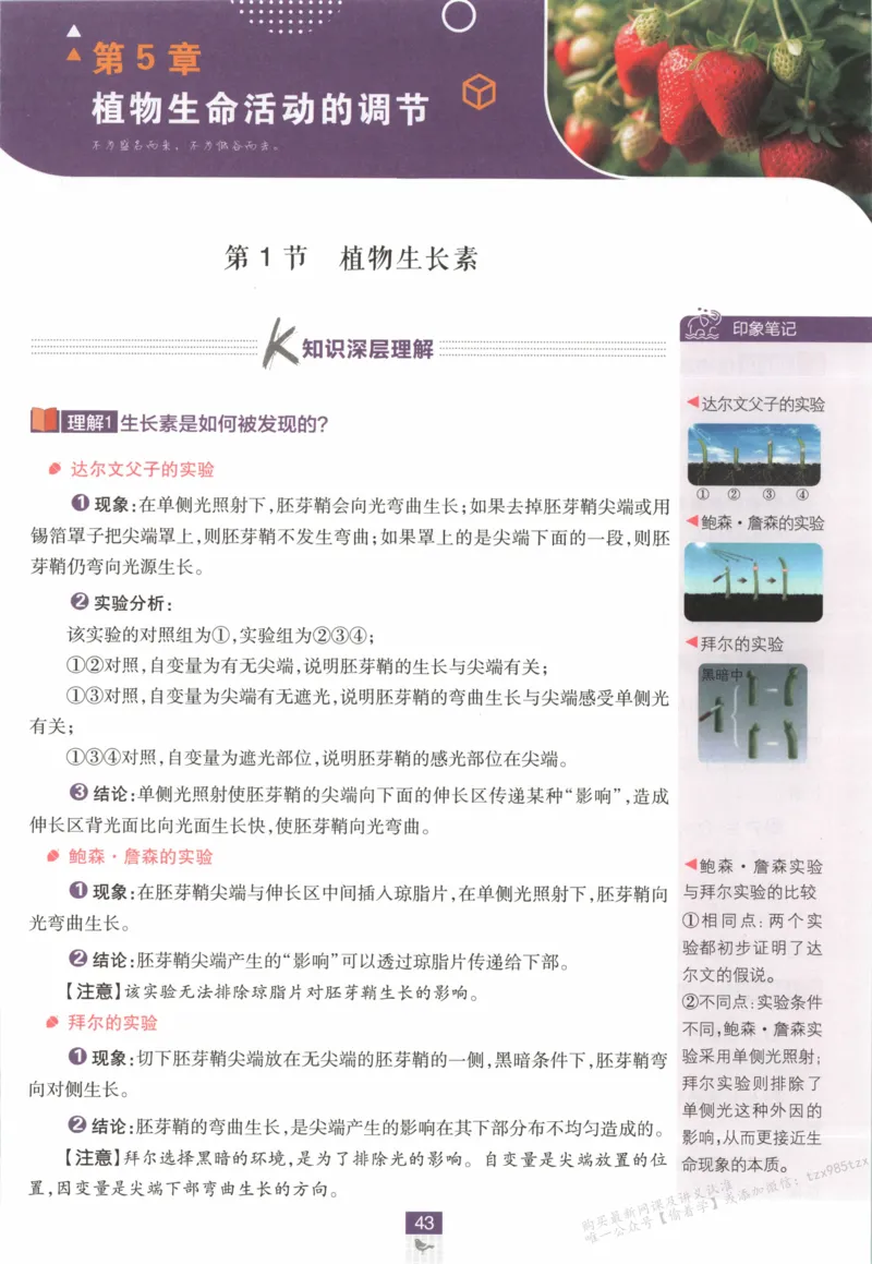 狂K重点_生物_2026版高中必刷题生物人教版_2026版高中必刷题生物选修1RJ(1)