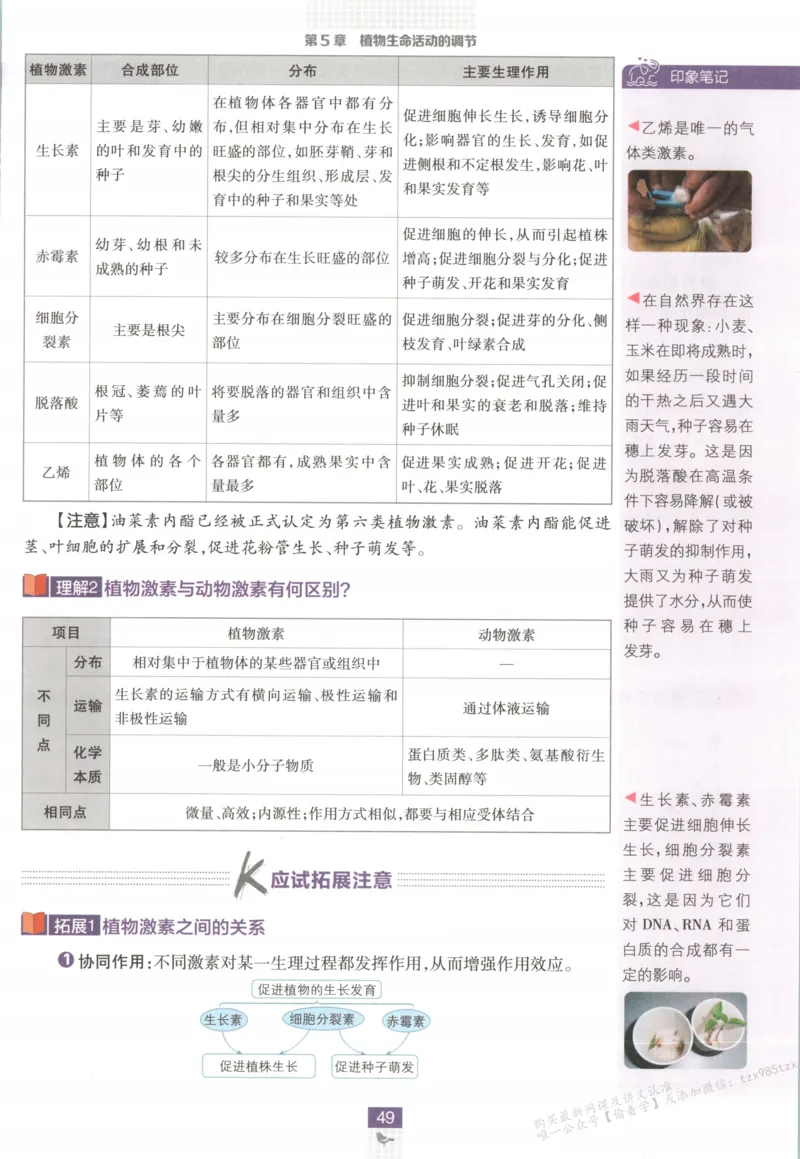 狂K重点_生物_2026版高中必刷题生物人教版_2026版高中必刷题生物选修1RJ(1)