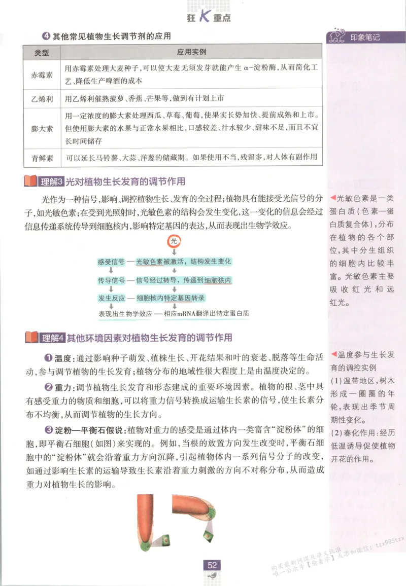 狂K重点_生物_2026版高中必刷题生物人教版_2026版高中必刷题生物选修1RJ(1)