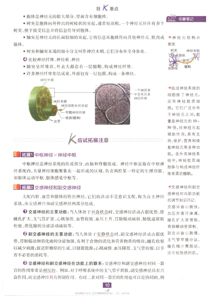 狂K重点_生物_2026版高中必刷题生物人教版_2026版高中必刷题生物选修1RJ