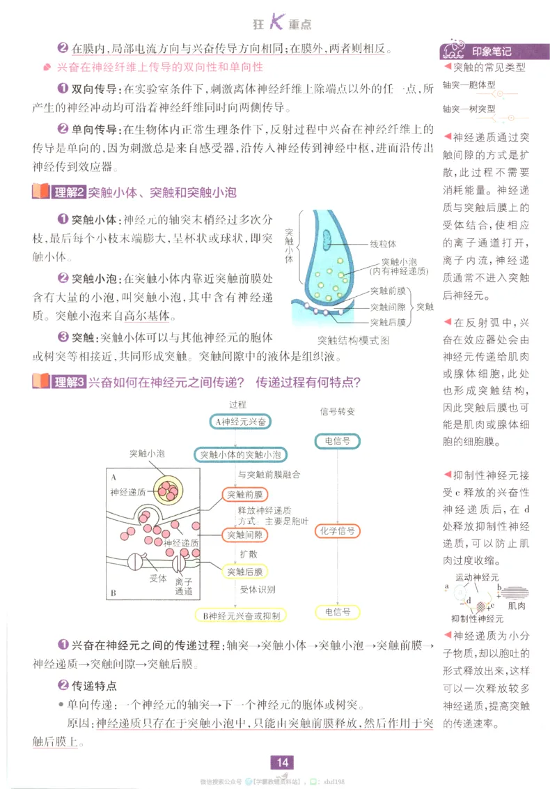 狂K重点_生物_2026版高中必刷题生物人教版_2026版高中必刷题生物选修1RJ