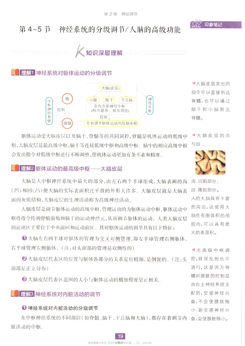 狂K重点_生物_2026版高中必刷题生物人教版_2026版高中必刷题生物选修1RJ