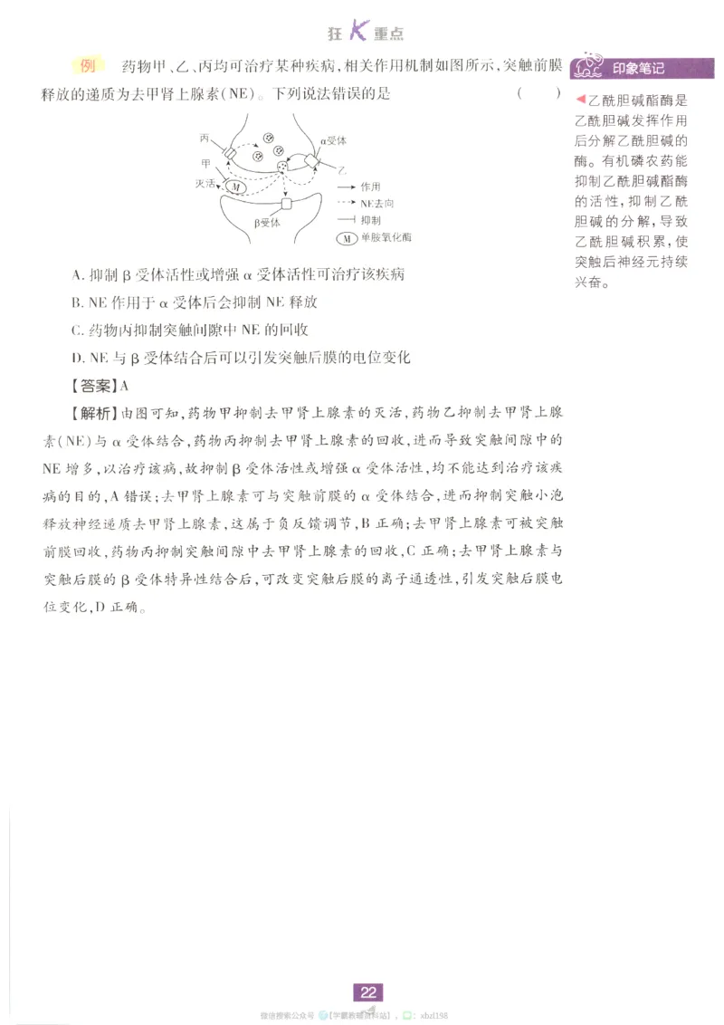 狂K重点_生物_2026版高中必刷题生物人教版_2026版高中必刷题生物选修1RJ