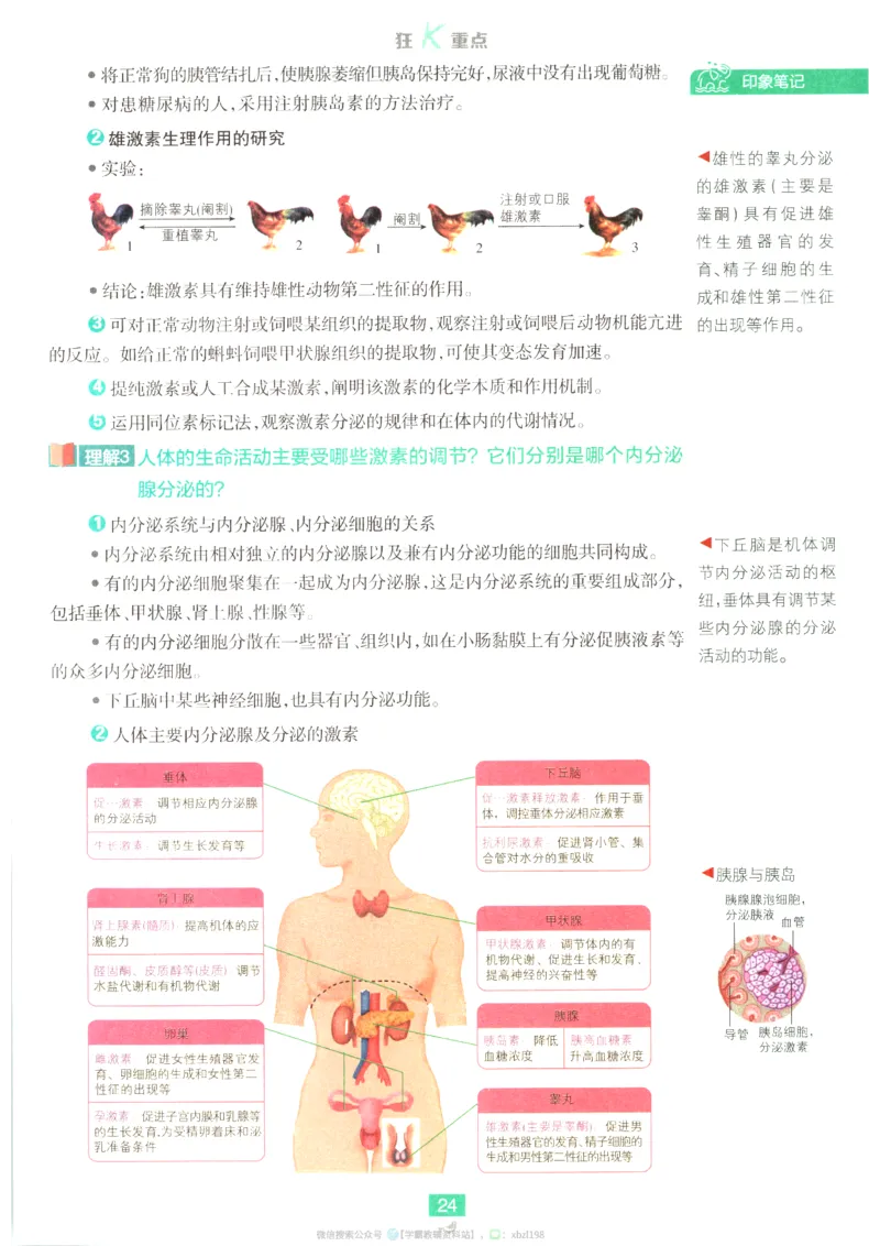 狂K重点_生物_2026版高中必刷题生物人教版_2026版高中必刷题生物选修1RJ