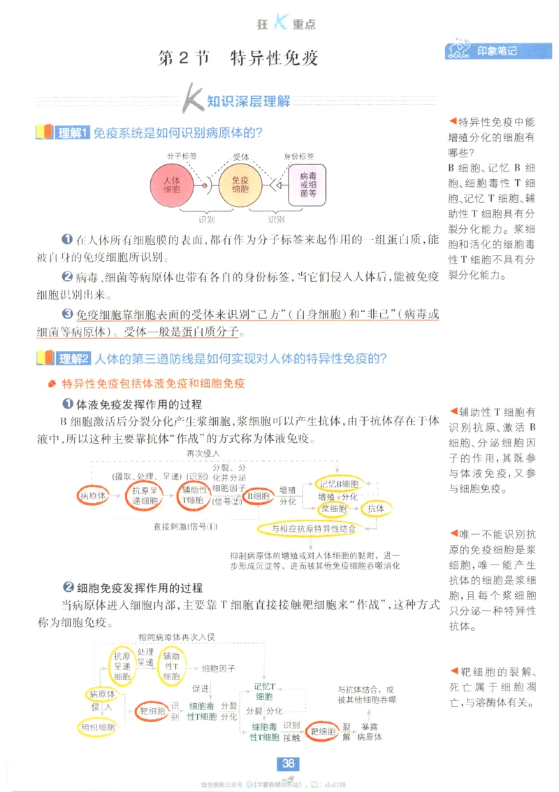 狂K重点_生物_2026版高中必刷题生物人教版_2026版高中必刷题生物选修1RJ