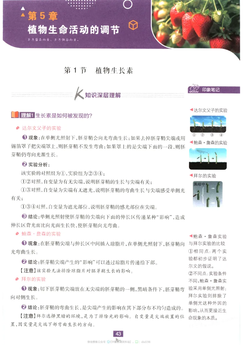狂K重点_生物_2026版高中必刷题生物人教版_2026版高中必刷题生物选修1RJ