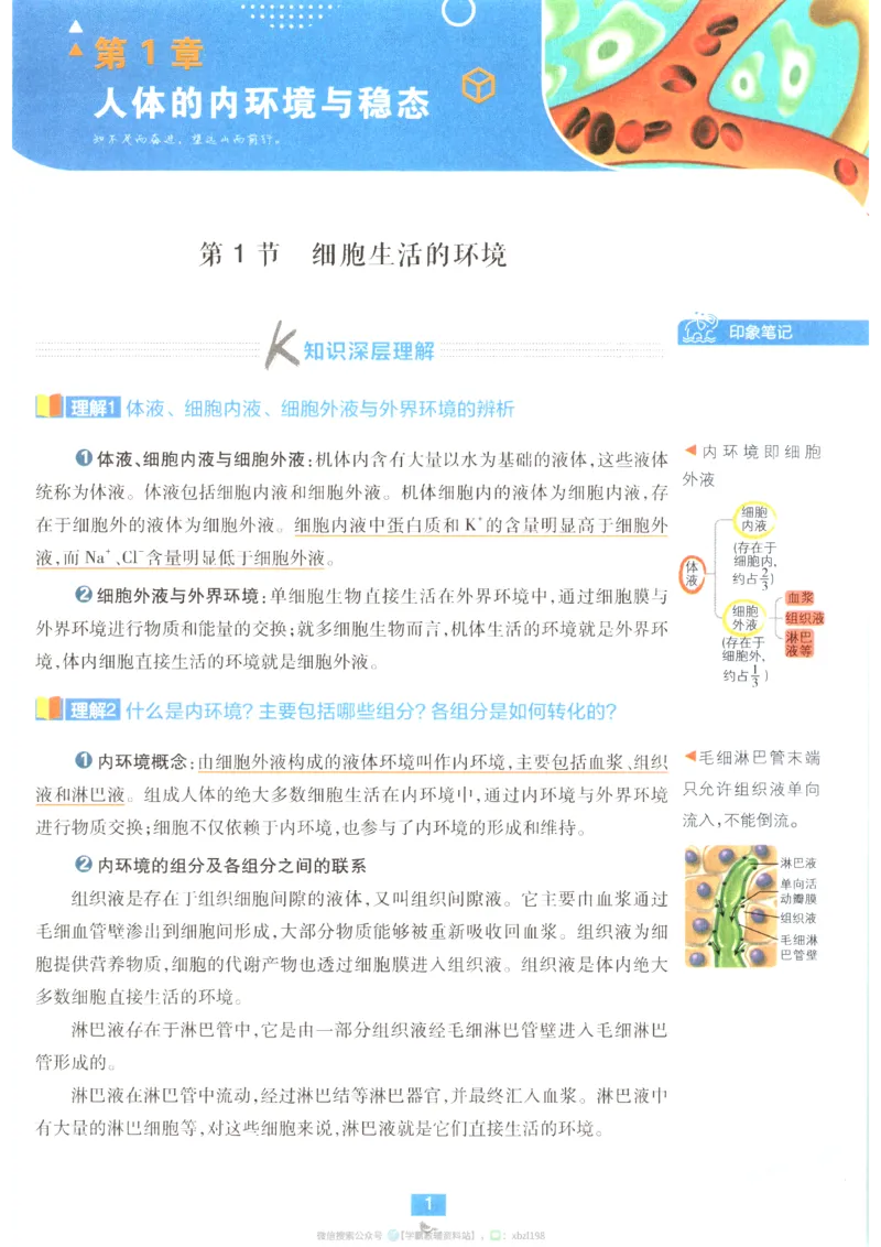 狂K重点_生物_2026版高中必刷题生物人教版_2026版高中必刷题生物选修1RJ