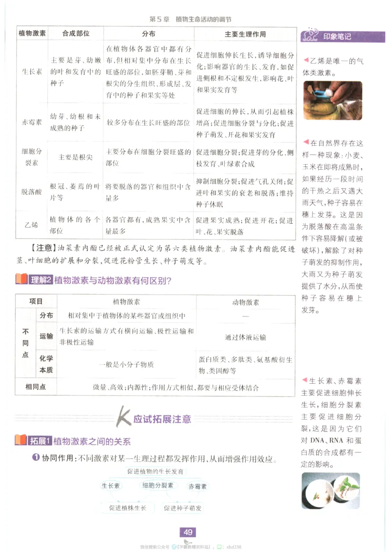 狂K重点_生物_2026版高中必刷题生物人教版_2026版高中必刷题生物选修1RJ