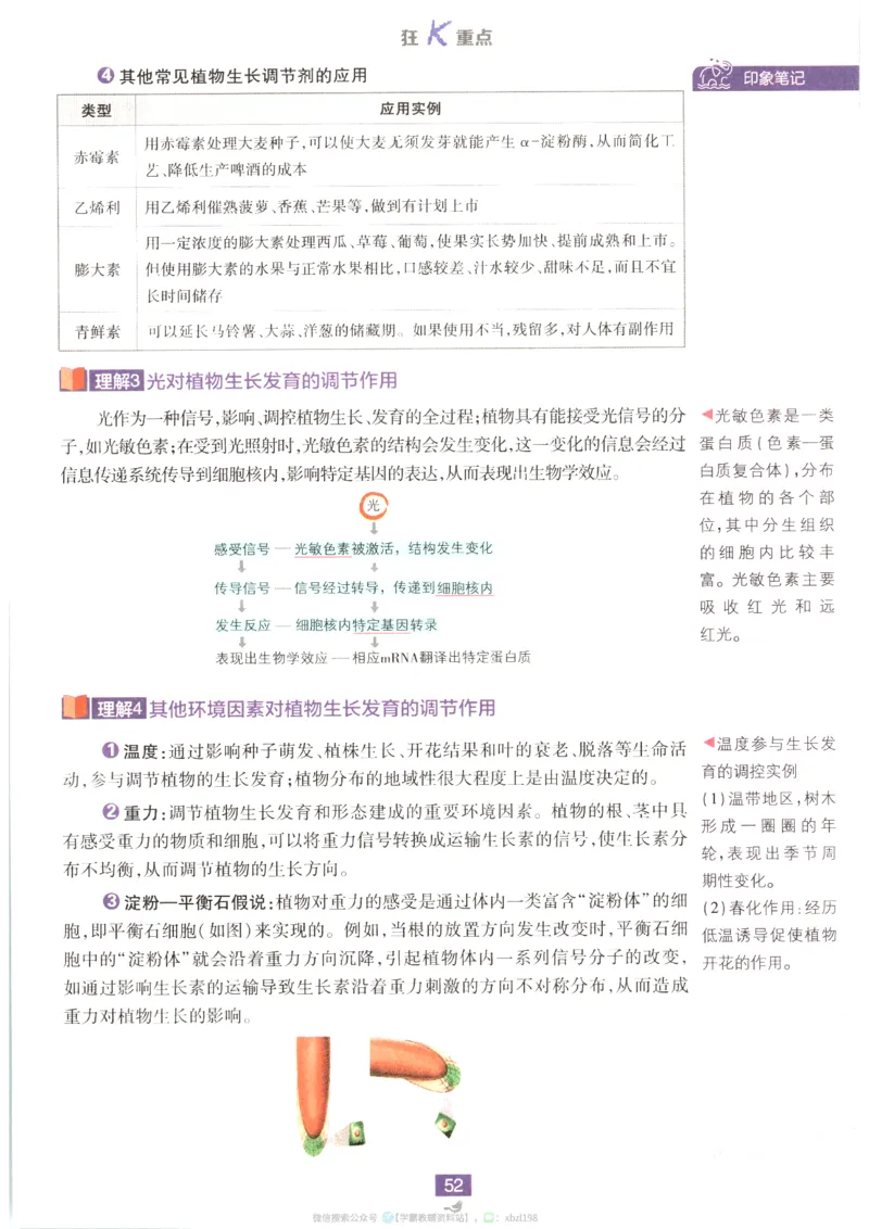 狂K重点_生物_2026版高中必刷题生物人教版_2026版高中必刷题生物选修1RJ