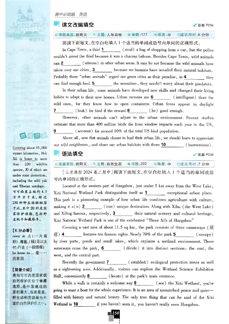 2026高二上必刷题选修一二合订本_2026版高中必刷题_英语_2026版高中必刷题英语《外研》_2026版高中必刷题选修一二合订版外研_WY高二上英语必刷题（选一、二合订本）