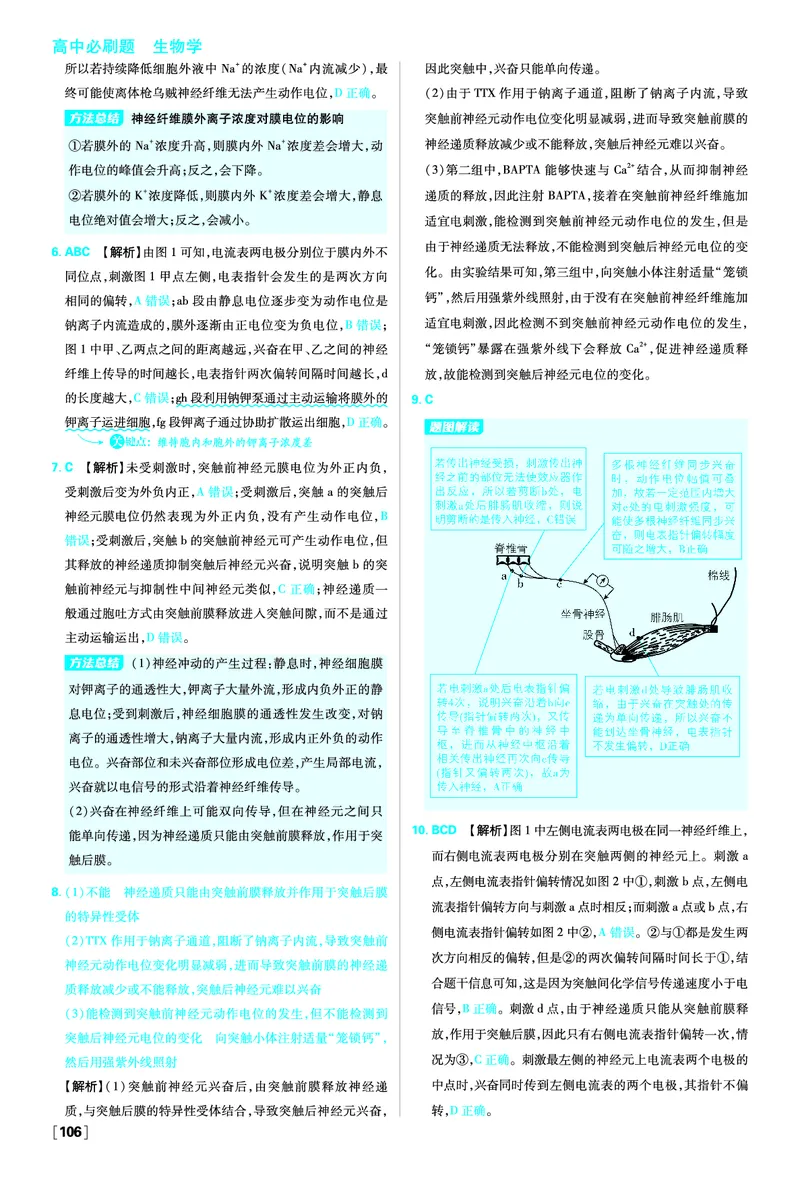 第2章神经调节_生物_2026版高中必刷题生物人教版_2026版高中必刷题生物选修1RJ_2025秋高中必刷题生物学选择性必修1稳态与调节RJ不定项选择题模式_图书答案