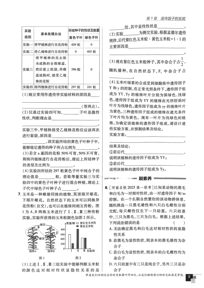 第1章第1节孟德尔的豌豆杂交实验（一）(1)_生物_2026版高中必刷题生物人教版_2026春高中必刷题生物必修2RJ_2026版高中《必刷题》教材同步版（生物）（必修2）_474