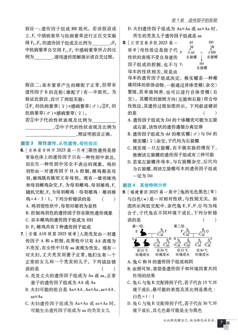 第1章第1节孟德尔的豌豆杂交实验（一）(1)_生物_2026版高中必刷题生物人教版_2026春高中必刷题生物必修2RJ_2026版高中《必刷题》教材同步版（生物）（必修2）_474