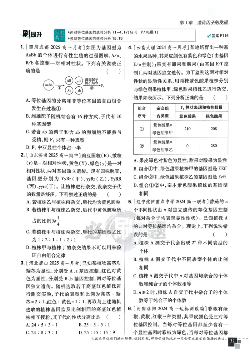 第1章第1节孟德尔的豌豆杂交实验（一）(1)_生物_2026版高中必刷题生物人教版_2026春高中必刷题生物必修2RJ_2026版高中《必刷题》教材同步版（生物）（必修2）_474