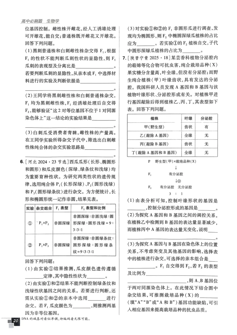 第1章第1节孟德尔的豌豆杂交实验（一）(1)_生物_2026版高中必刷题生物人教版_2026春高中必刷题生物必修2RJ_2026版高中《必刷题》教材同步版（生物）（必修2）_474