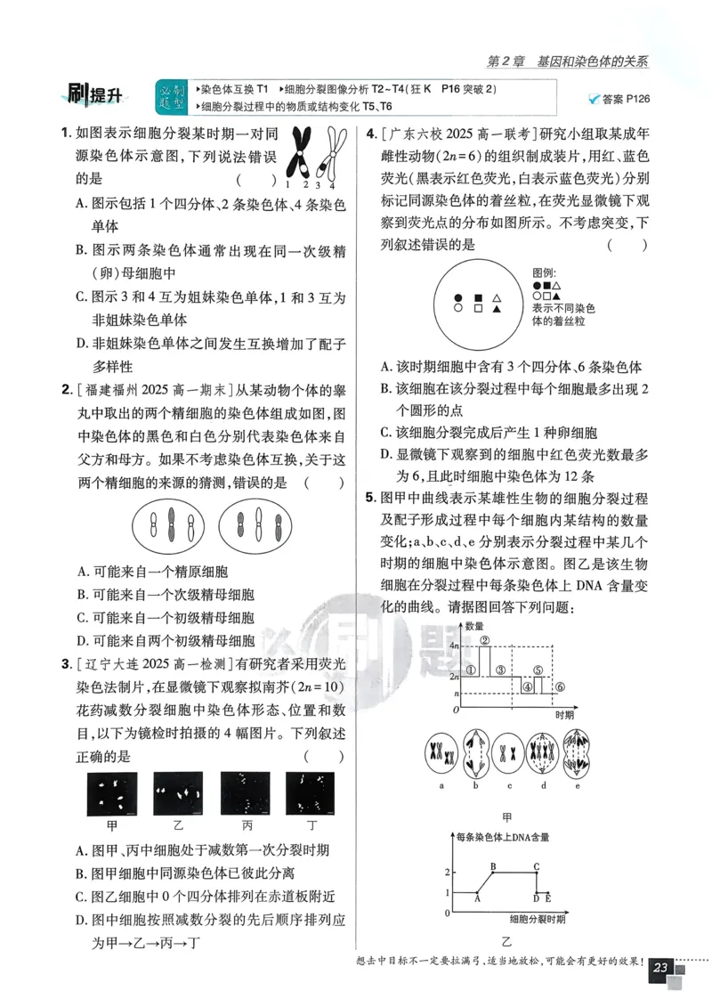 第1章第1节孟德尔的豌豆杂交实验（一）(1)_生物_2026版高中必刷题生物人教版_2026春高中必刷题生物必修2RJ_2026版高中《必刷题》教材同步版（生物）（必修2）_474