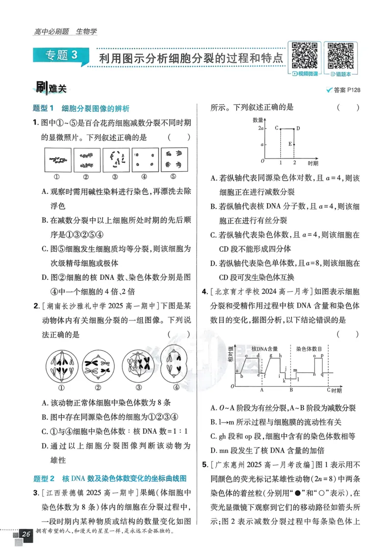 第1章第1节孟德尔的豌豆杂交实验（一）(1)_生物_2026版高中必刷题生物人教版_2026春高中必刷题生物必修2RJ_2026版高中《必刷题》教材同步版（生物）（必修2）_474