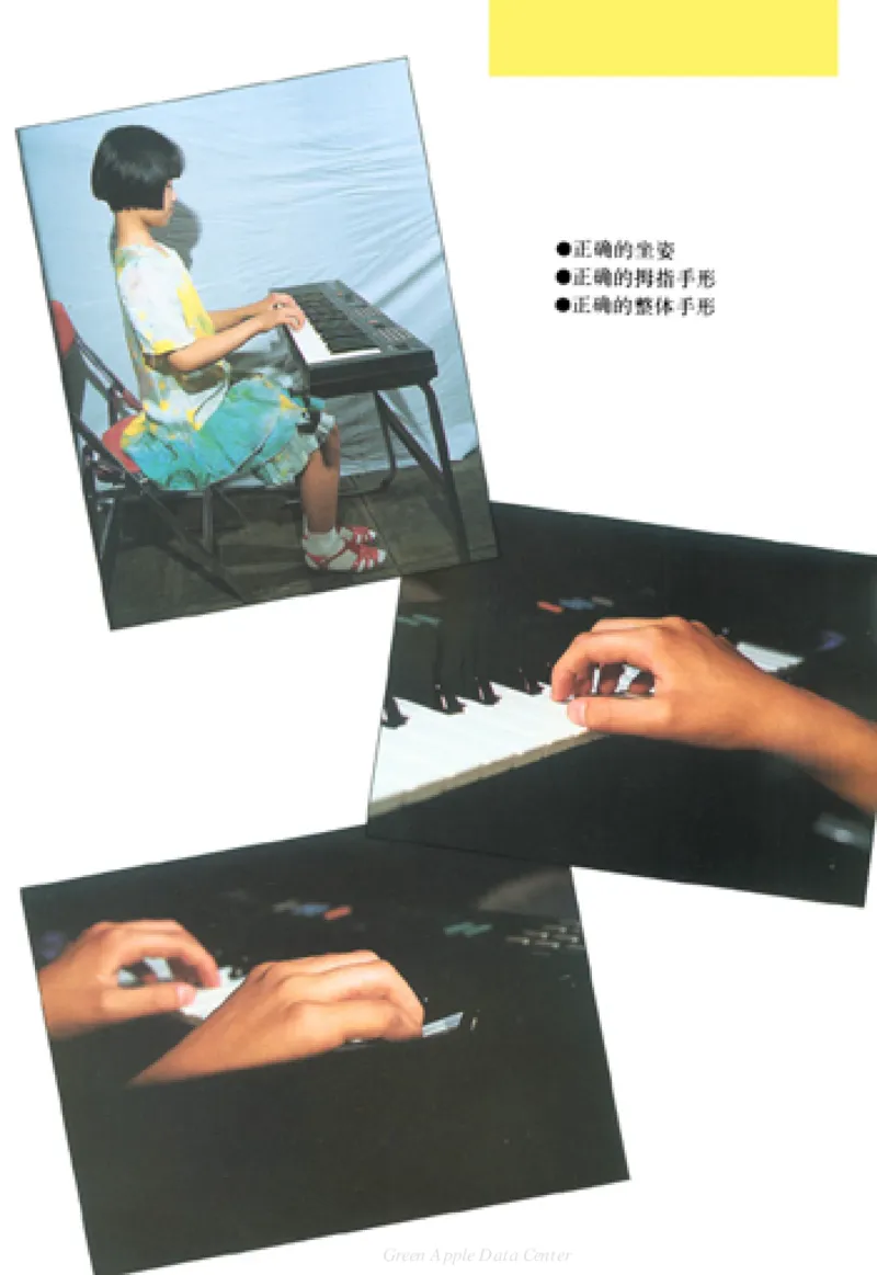 电子琴弹奏入门_一万首著名钢琴曲谱哈农贝多芬合集视频教学电子版高清无水印可打印_09钢琴教材合集_常用教材钢琴谱（80+本）