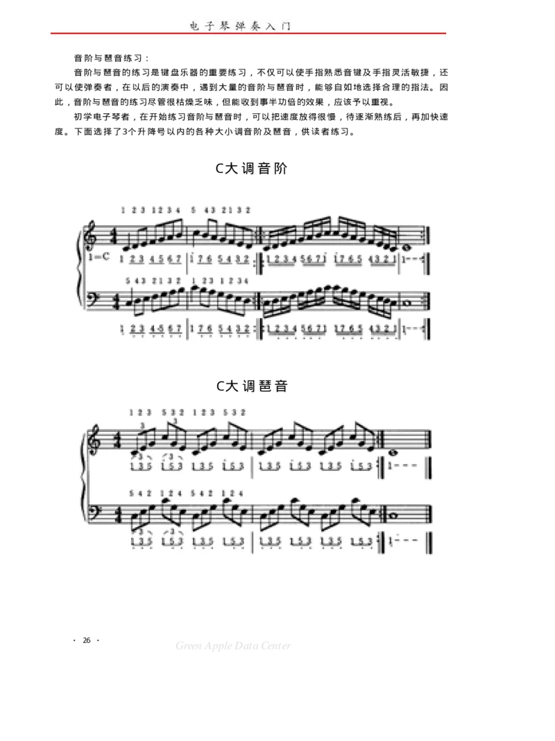 电子琴弹奏入门_一万首著名钢琴曲谱哈农贝多芬合集视频教学电子版高清无水印可打印_09钢琴教材合集_常用教材钢琴谱（80+本）
