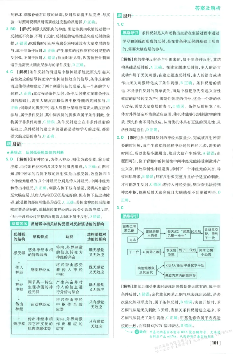 答案-生物_生物_2026版高中必刷题生物人教版_2026版高中必刷题生物选修1RJ(1)