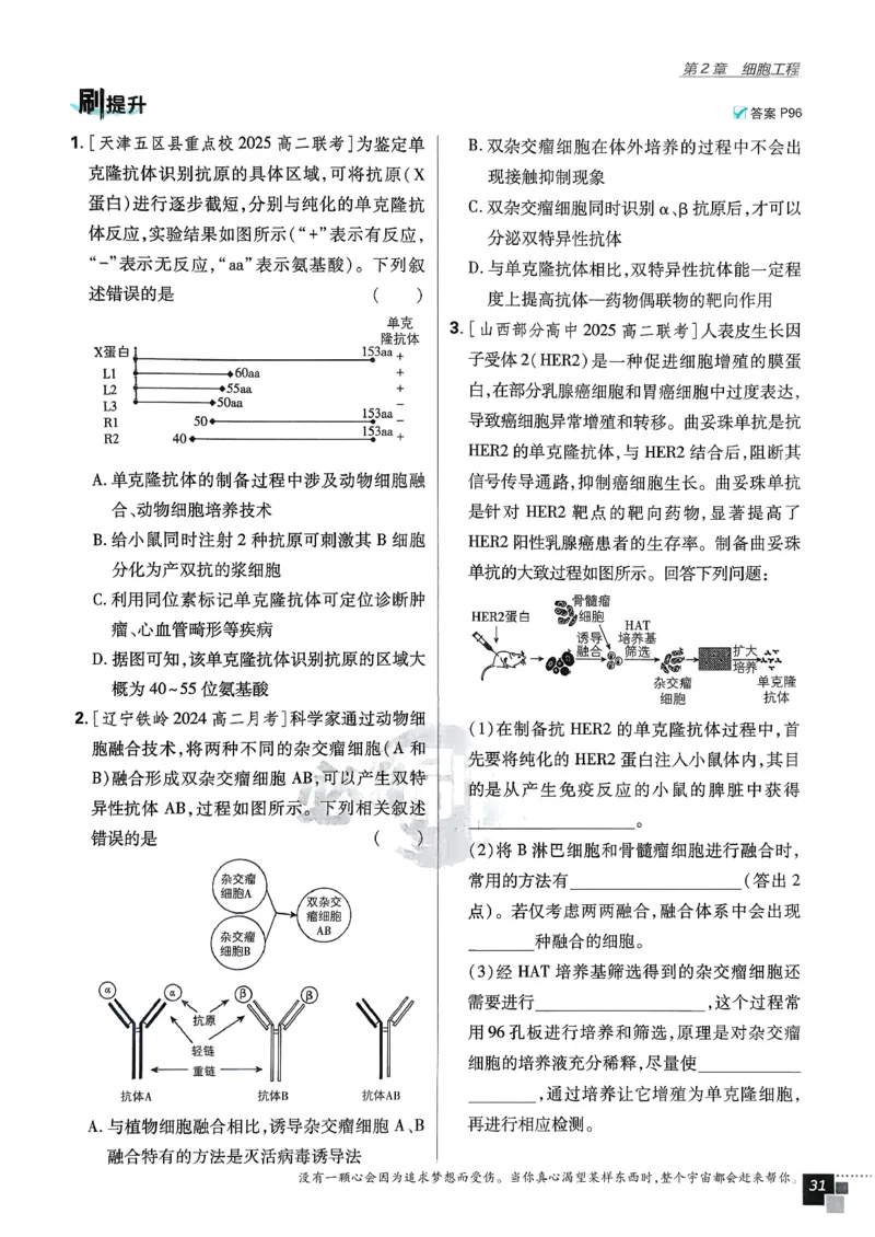 主书生物选修3_生物_2026版高中必刷题生物人教版_2026春高中必刷题生物选修3RJ