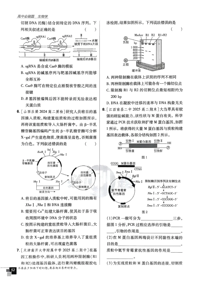 主书生物选修3_生物_2026版高中必刷题生物人教版_2026春高中必刷题生物选修3RJ