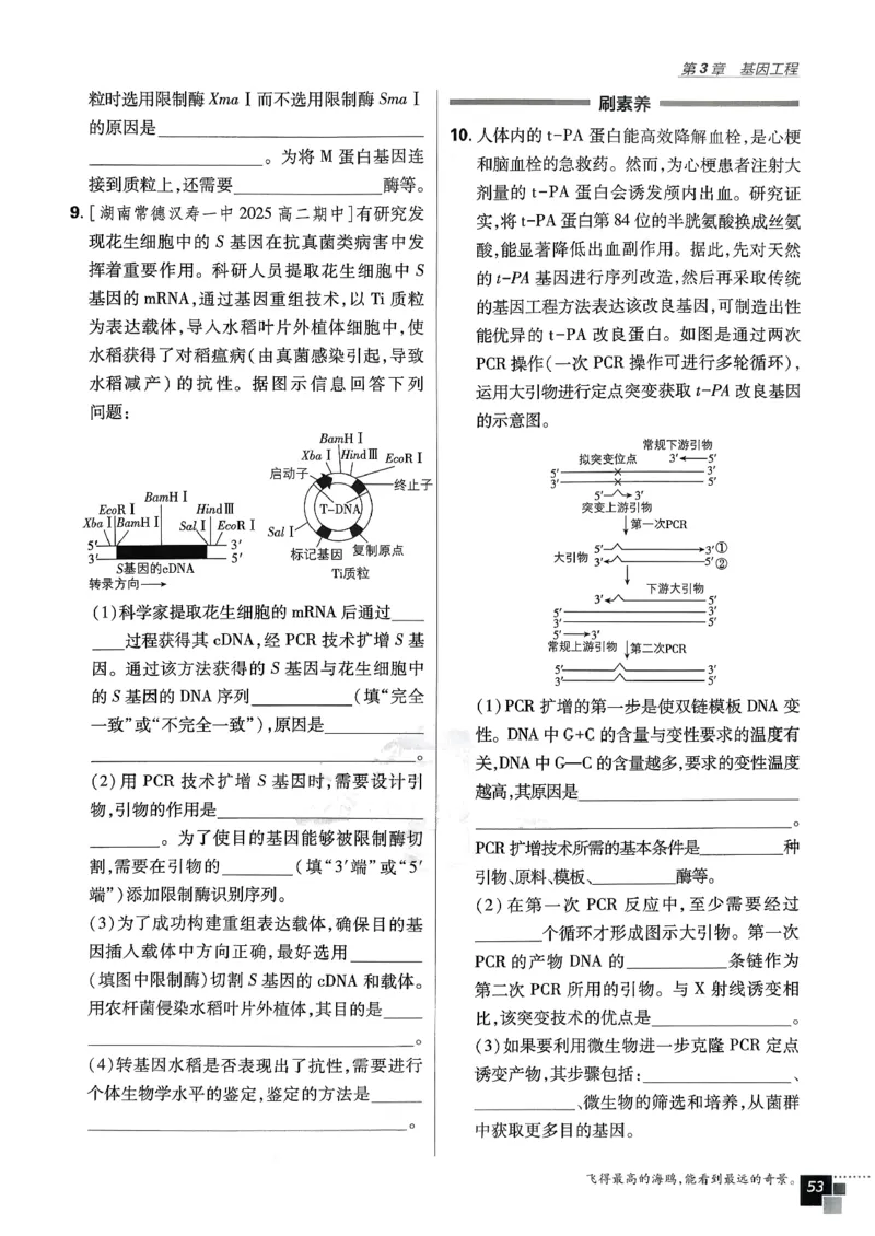 主书生物选修3_生物_2026版高中必刷题生物人教版_2026春高中必刷题生物选修3RJ