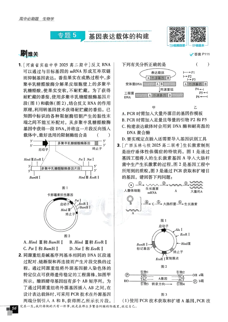 主书生物选修3_生物_2026版高中必刷题生物人教版_2026春高中必刷题生物选修3RJ