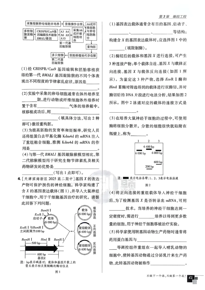 主书生物选修3_生物_2026版高中必刷题生物人教版_2026春高中必刷题生物选修3RJ