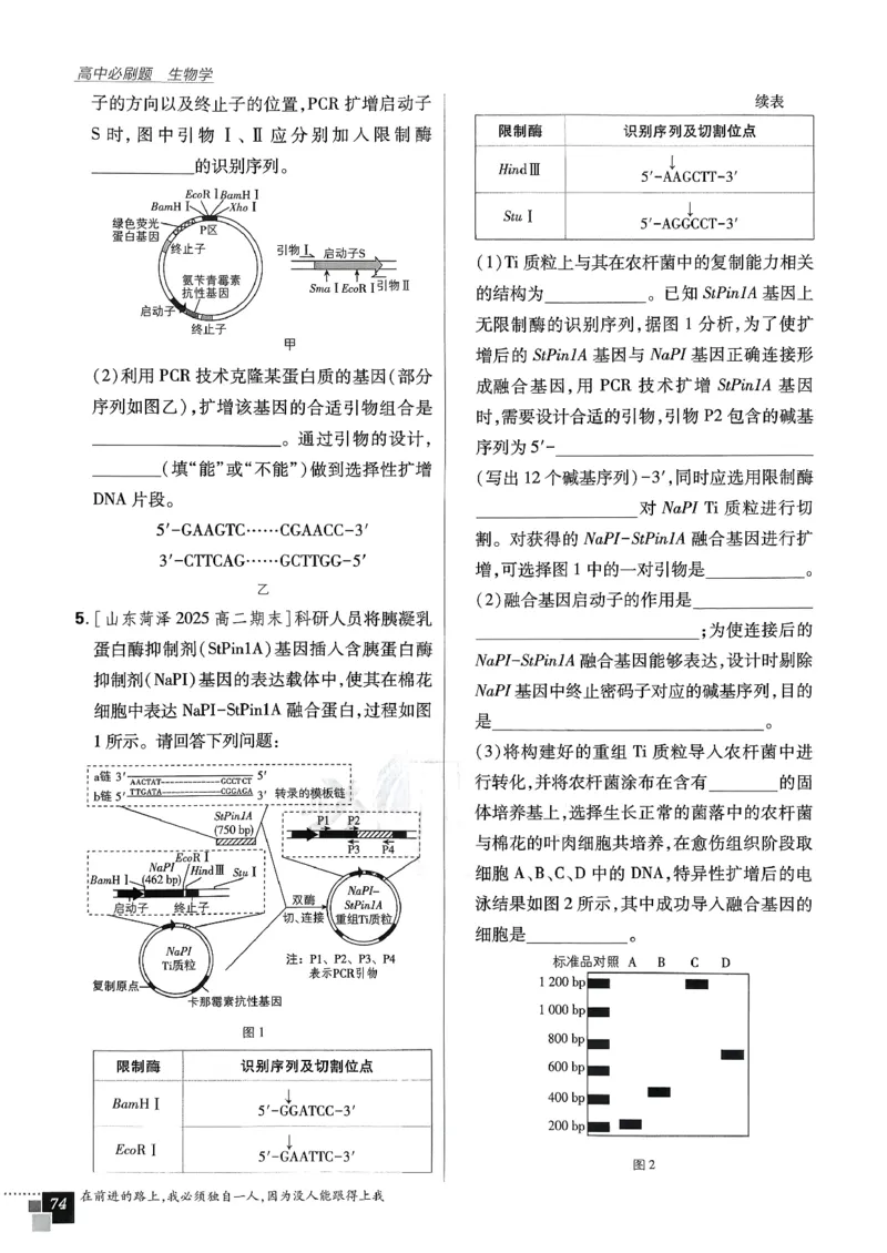 主书生物选修3_生物_2026版高中必刷题生物人教版_2026春高中必刷题生物选修3RJ