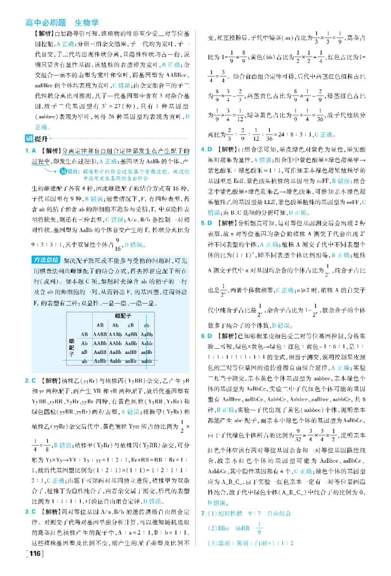 第1章遗传因子的发现(1)_生物_2026版高中必刷题生物人教版_2026春高中必刷题生物必修2RJ_2026版高中《必刷题》教材同步版（生物）（必修2）
