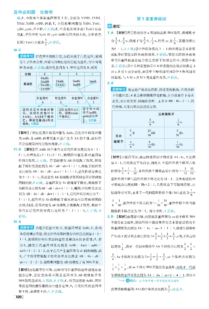 第1章遗传因子的发现(1)_生物_2026版高中必刷题生物人教版_2026春高中必刷题生物必修2RJ_2026版高中《必刷题》教材同步版（生物）（必修2）