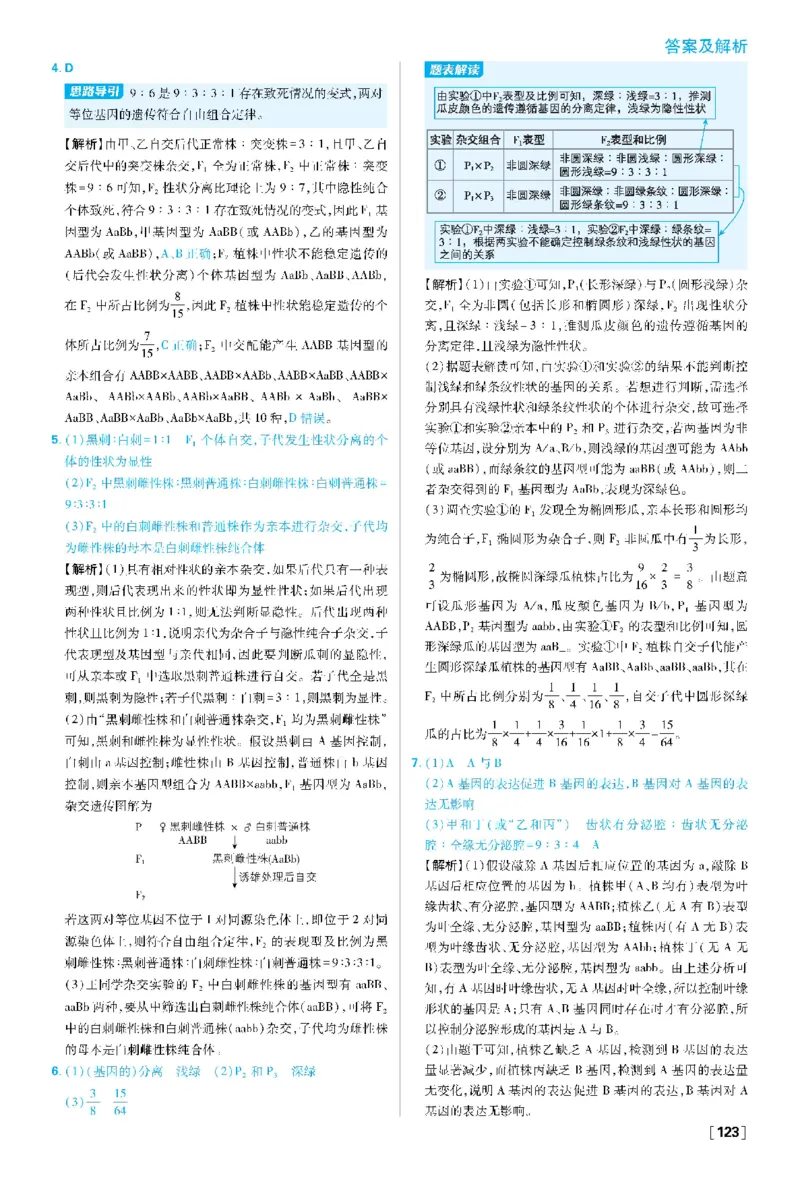 第1章遗传因子的发现(1)_生物_2026版高中必刷题生物人教版_2026春高中必刷题生物必修2RJ_2026版高中《必刷题》教材同步版（生物）（必修2）