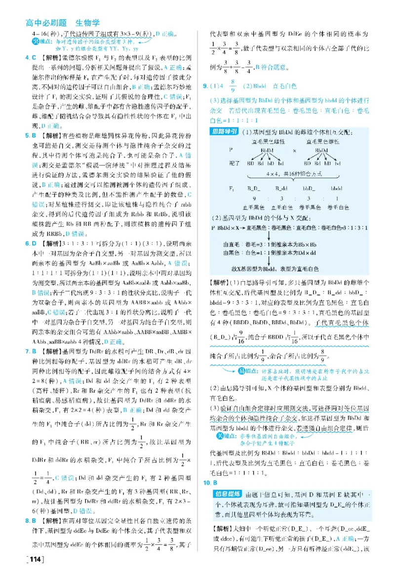 第1章遗传因子的发现(1)_生物_2026版高中必刷题生物人教版_2026春高中必刷题生物必修2RJ_2026版高中《必刷题》教材同步版（生物）（必修2）