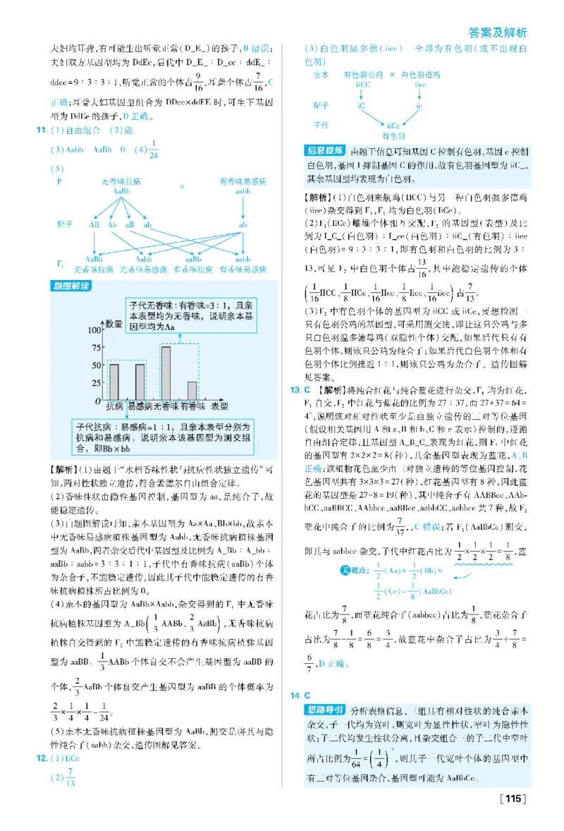 第1章遗传因子的发现(1)_生物_2026版高中必刷题生物人教版_2026春高中必刷题生物必修2RJ_2026版高中《必刷题》教材同步版（生物）（必修2）