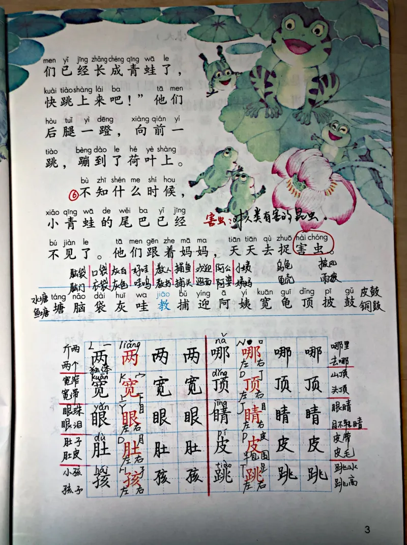 小学二年级上册上学期-部编版语文：第一课时预习笔记_小学1-6年级全部试卷_语文_二年级_3-7-1、小学二年级语文上册_3-7-1-1、复习、知识点、归纳汇总_部编版