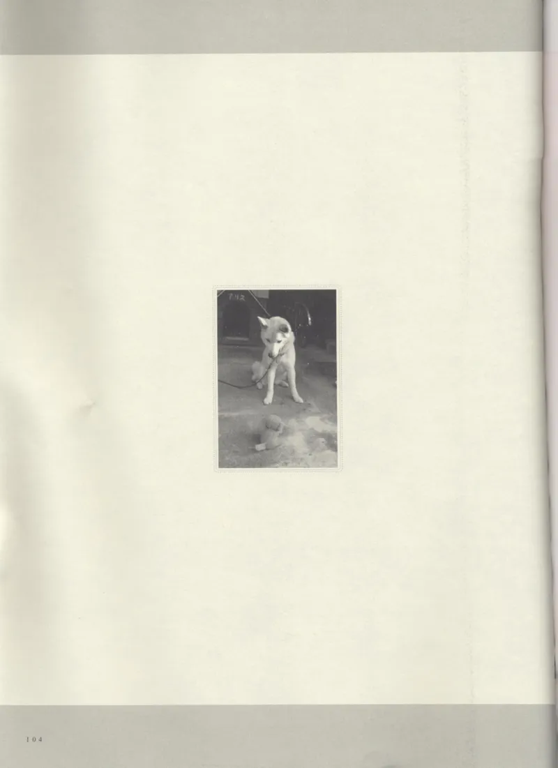 日本出的爵士古典_一万首著名钢琴曲谱哈农贝多芬合集视频教学电子版高清无水印可打印_09钢琴教材合集_常用教材钢琴谱（80+本）