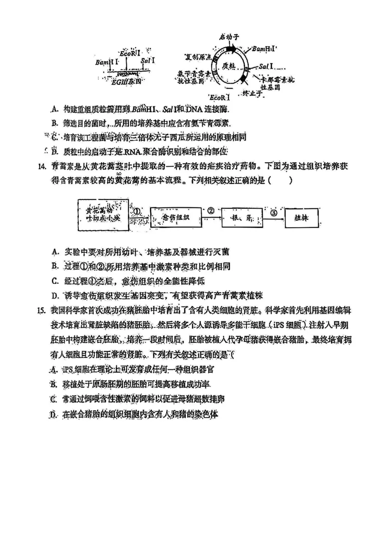 高三生物试题_2024年2月_01每日更新_22号_2024届1号卷A10联盟安徽高三开年考_1号卷A10联盟安徽2024届高三开年考生物