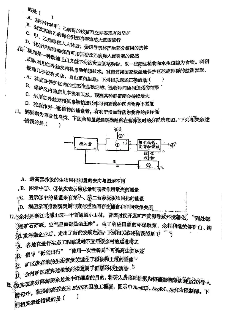 高三生物试题_2024年2月_01每日更新_22号_2024届1号卷A10联盟安徽高三开年考_1号卷A10联盟安徽2024届高三开年考生物