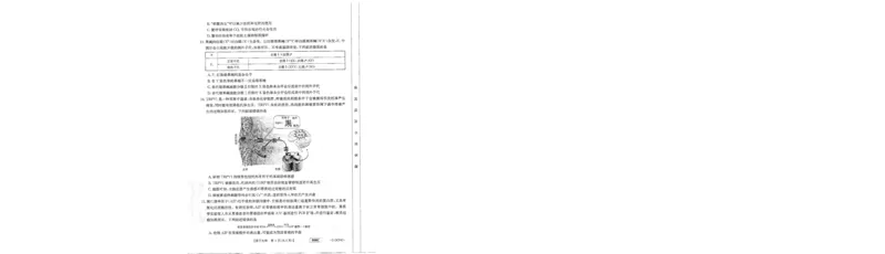 高三生物考试_2024年2月_01每日更新_16号_2023届新高考高三金太阳3月百万大联考（808C）全科_2023届新高考高三金太阳3月百万大联考（808C）生物