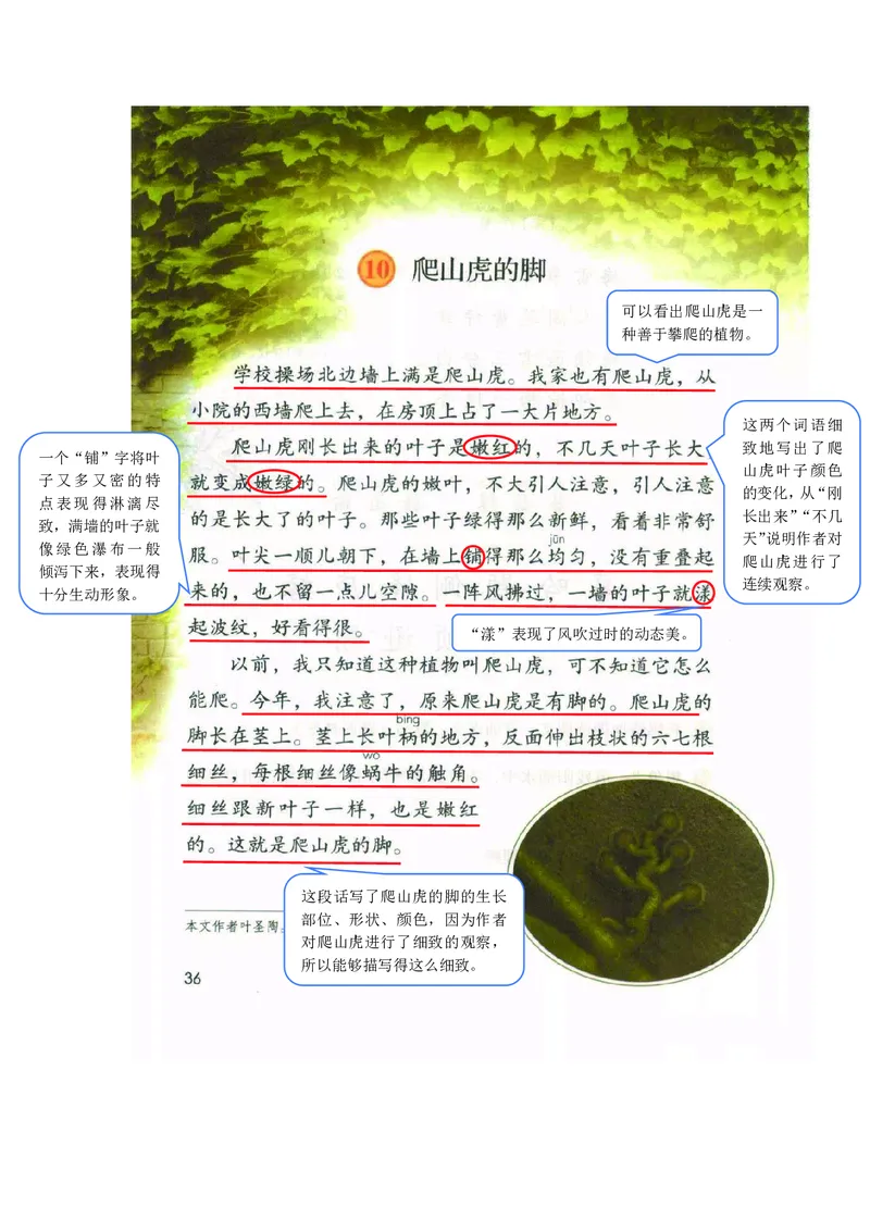 四年级上册语文部编版课堂笔记_小学1-6年级全部试卷_语文_四年级_3-9-1、小学四年级语文上册_3-9-1-1、复习、知识点、归纳汇总_部编版