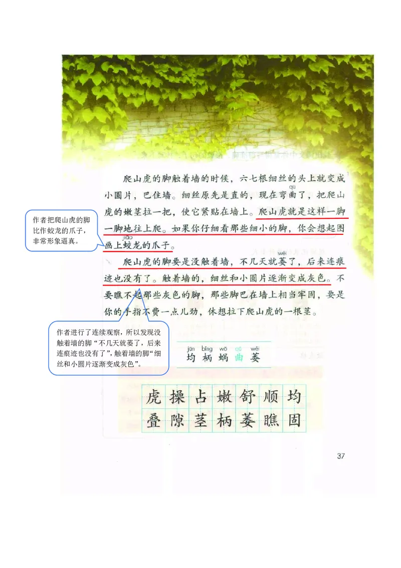 四年级上册语文部编版课堂笔记_小学1-6年级全部试卷_语文_四年级_3-9-1、小学四年级语文上册_3-9-1-1、复习、知识点、归纳汇总_部编版