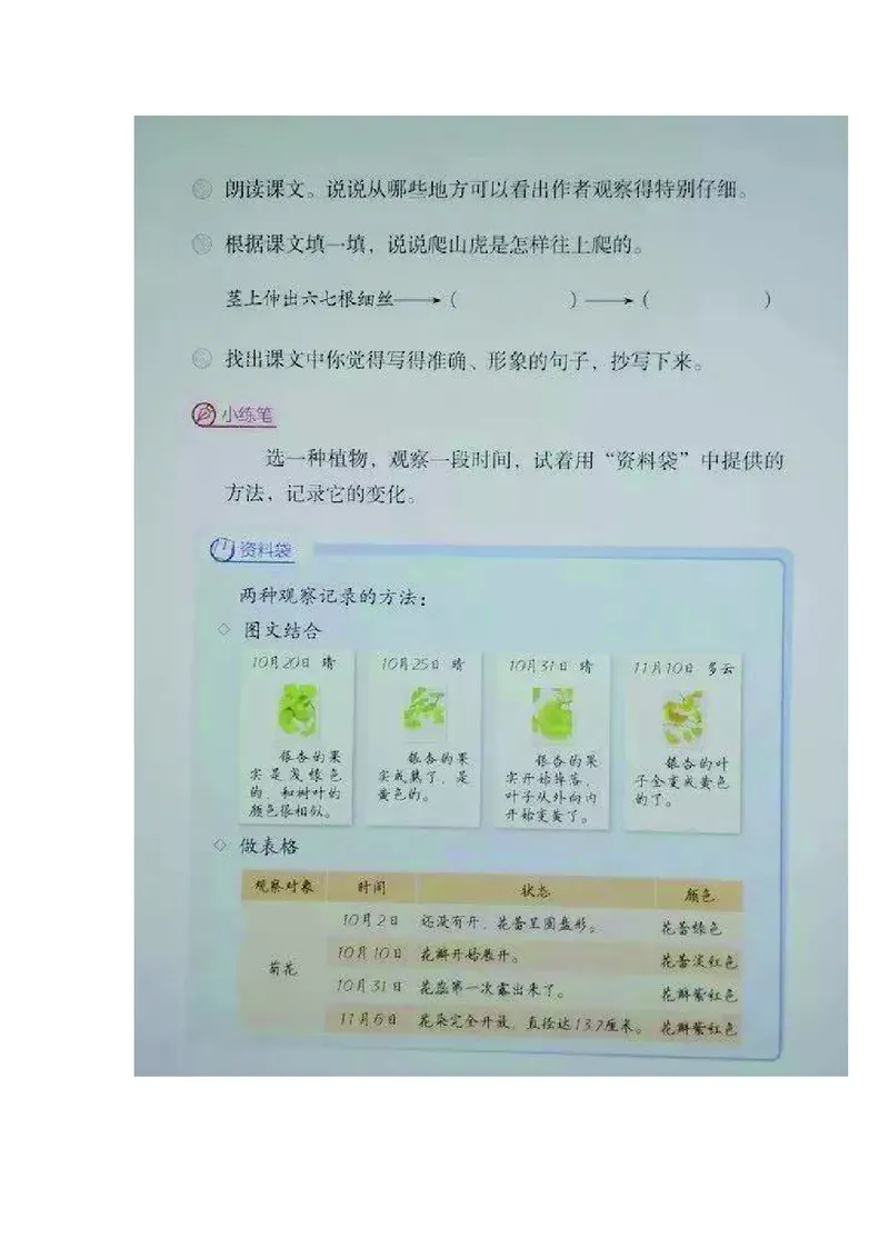 四年级上册语文部编版课堂笔记_小学1-6年级全部试卷_语文_四年级_3-9-1、小学四年级语文上册_3-9-1-1、复习、知识点、归纳汇总_部编版
