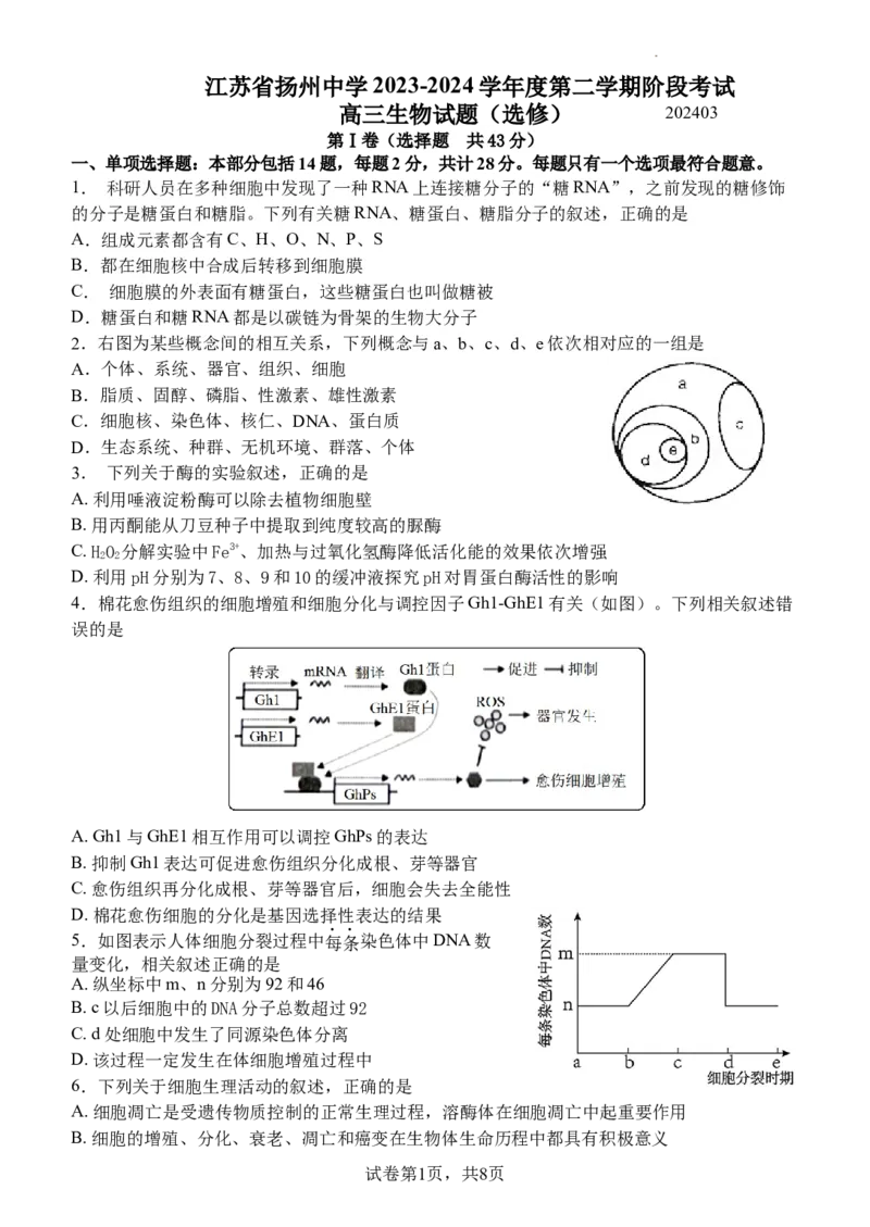 高三开学考试生物试卷202402_2024年3月_013月合集_2024届江苏省扬州中学高三下学期阶段练习_江苏省扬州中学2024届高三下学期阶段练习生物