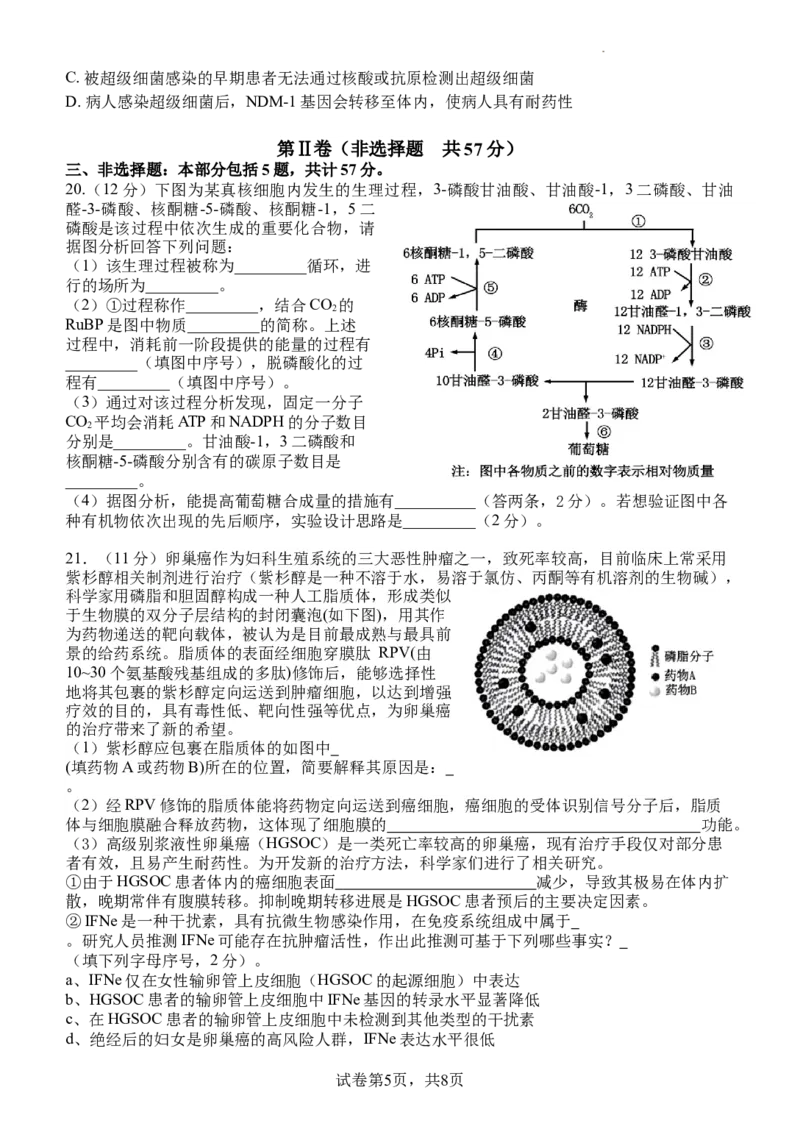 高三开学考试生物试卷202402_2024年3月_013月合集_2024届江苏省扬州中学高三下学期阶段练习_江苏省扬州中学2024届高三下学期阶段练习生物